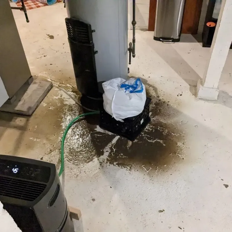 Sewage Backup Cleanup Service in Shippensburg, PA
